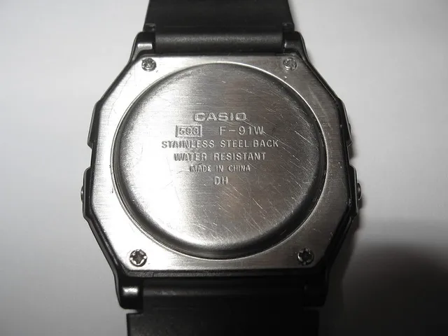 Gehäuseboden einer Casio F-91W. Kennzeichnungen können je Ausführung variieren.