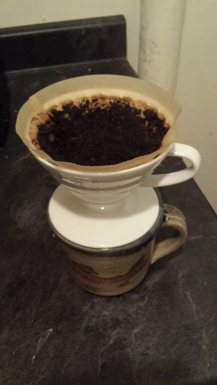 Hario-V60-Handfilter mit Papier und nassem Kaffeemehl während des Aufgusses.