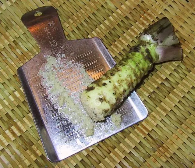 Wasabiwurzel und eine kleine Menge geriebener Wasabi auf einer flachen Metallreibe