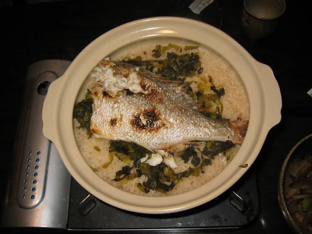 Fisch und Reis in einem hellen Donabe auf einem tragbaren Gaskocher