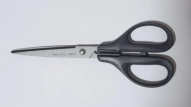 Tijeras de oficina Canary EP-175F de Hasegawa Hamono.