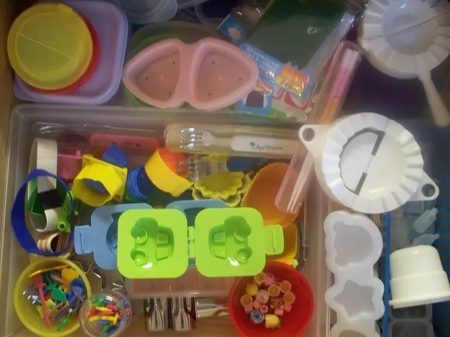 Organizador con accesorios y pequeños recipientes para bento. Imagen ilustrativa; no permite confirmar el contenido de un kit Skater.