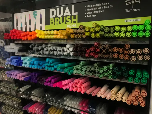 Présentoir de feutres Tombow Dual Brush classés par couleurs
