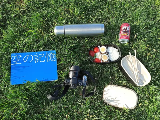Bento ouvert, baguettes et bouteille isotherme posés sur l’herbe