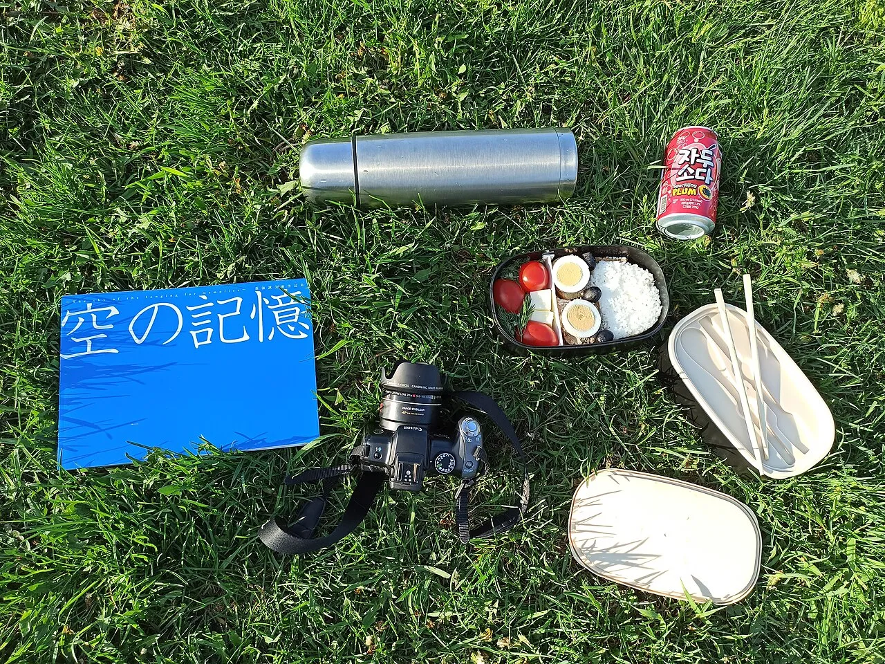 Bento ouvert, baguettes et bouteille isotherme posés sur l’herbe