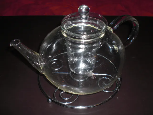Théière en verre vide avec filtre en verre et couvercle