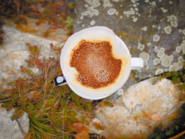 Hario V60 blanc en céramique vu du dessus avec du café en cours d’infusion