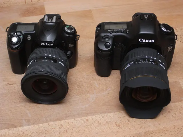 Nikon- und Canon-Kamera mit unterschiedlichen Sigma-Zoomobjektiven nebeneinander