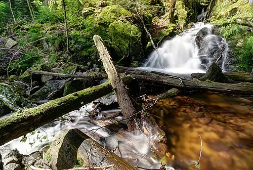 Bach im Wald mit weich fließendem Wasser über moosigen Steinen