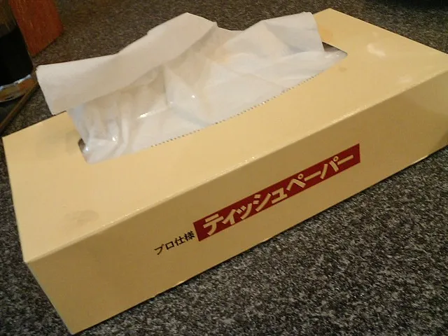 Rechteckige japanische Tuchpackung mit Entnahmeöffnung oben. Ihre Form veranschaulicht, warum Nachfüllpackung und Hülle vor dem Kauf zusammenpassen müssen.